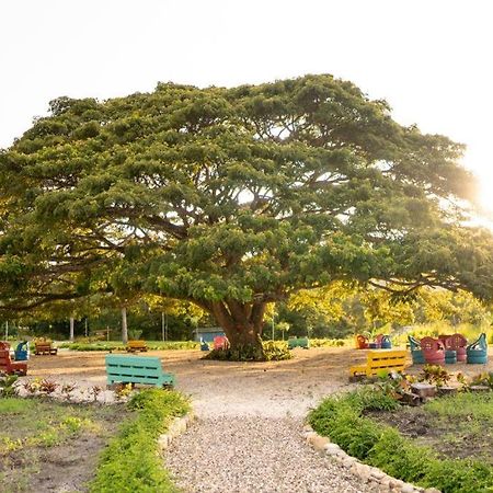 Hacienda La Huerta, Puerto Plata Villa Luaran gambar