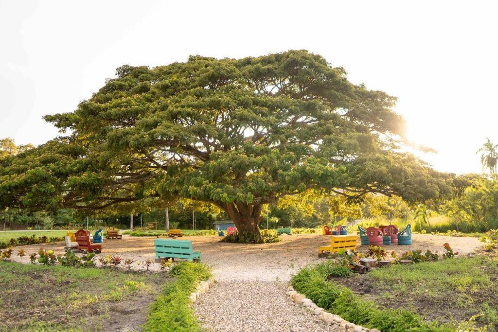 Hacienda La Huerta, Puerto Plata Villa Luaran gambar